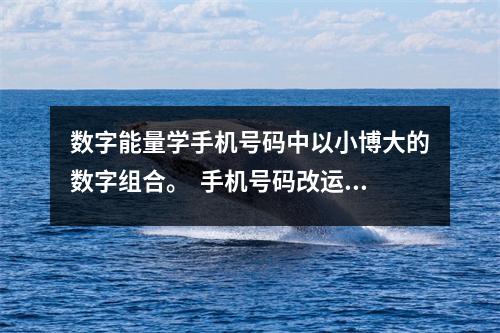 数字能量学手机号码中以小博大的数字组合。  手机号码改运案例分析